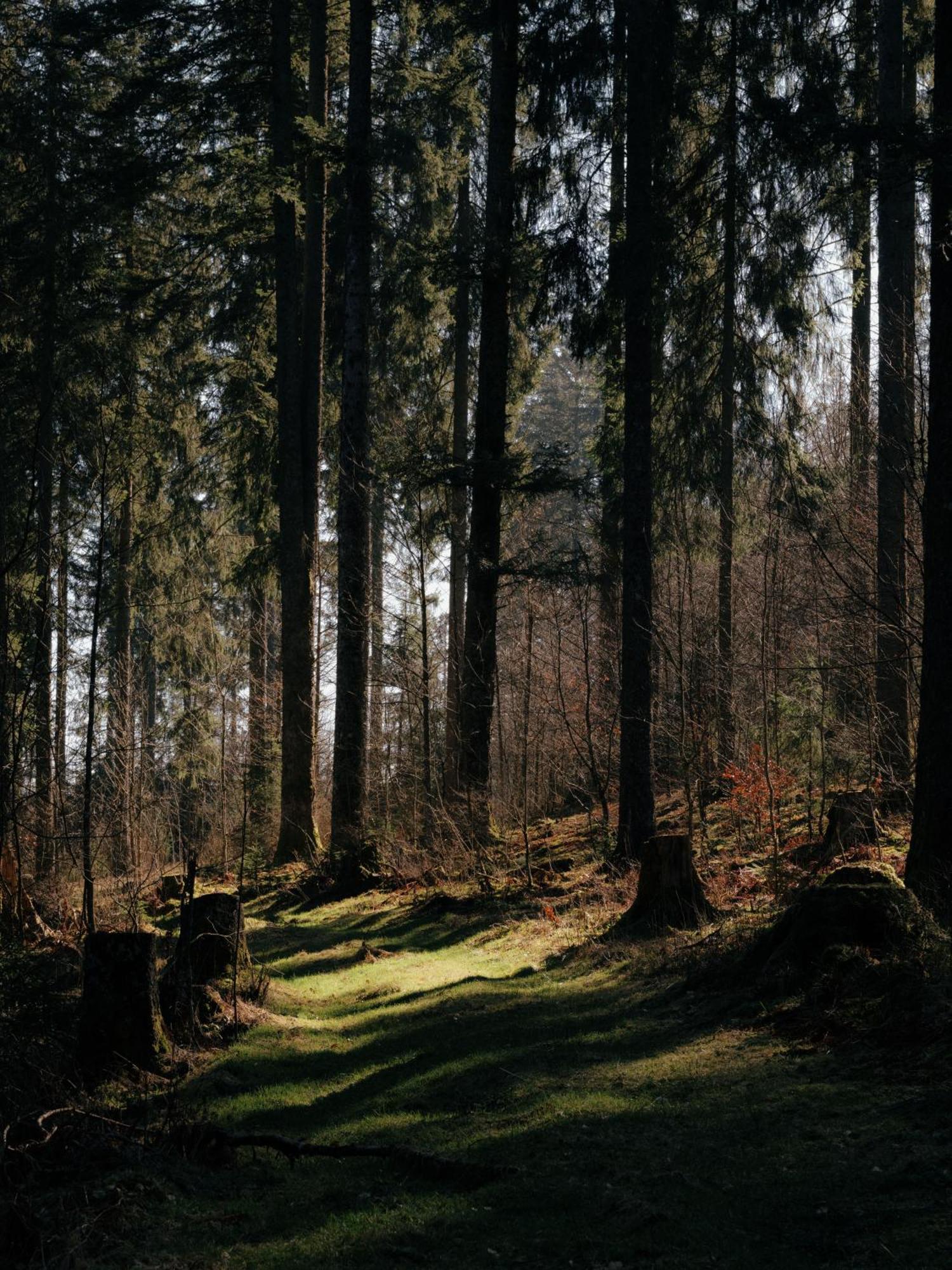 Boutique Hotel Muehle Schluchsee Luaran gambar